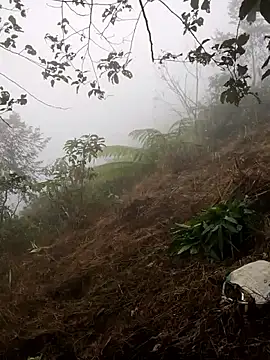 Snapshot of cdyyds-69 chatting on January 15, 2026, 1:53 am cdyyds-69 online show from January 15, 2026, 1:53 am