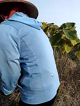 waaini99 online show from January 12, 2026, 1:56 am