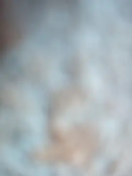 talytah online show from February 19, 2026, 9:28 am