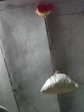 kulwantj online show from January 18, 2026, 1:58 pm