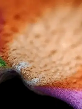 kulwantj online show from January 18, 2026, 1:53 am