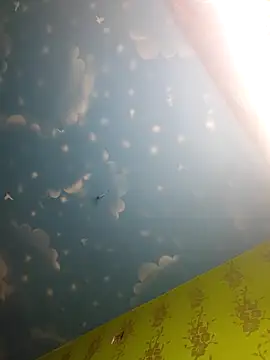 Snapshot of arushi_bb chatting on February 12, 2026, 6:07 pm arushi bb online show from February 12, 2026, 6:07 pm