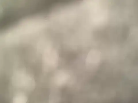 Bignastydaddy204 online show from January 11, 2026, 1:56 am