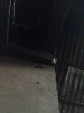 sun-shii online show from April 16, 2026, 10:45 pm