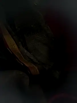 Hot bh64 online show from March 24, 2026, 3:56 pm