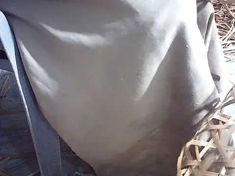 Futar8388 online show from January 13, 2026, 12:20 pm