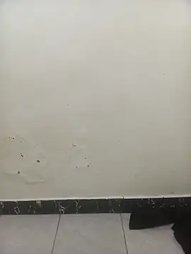 PatriciaVen online show from February 3, 2026, 6:22 am