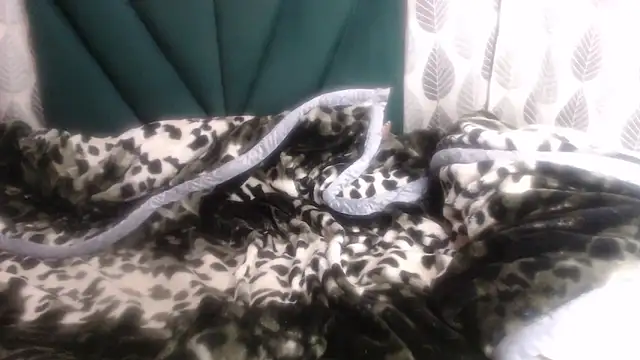 Snapshot of Nellybba chatting on March 8, 2026, 4:21 pm Nellybba online show from March 8, 2026, 4:21 pm