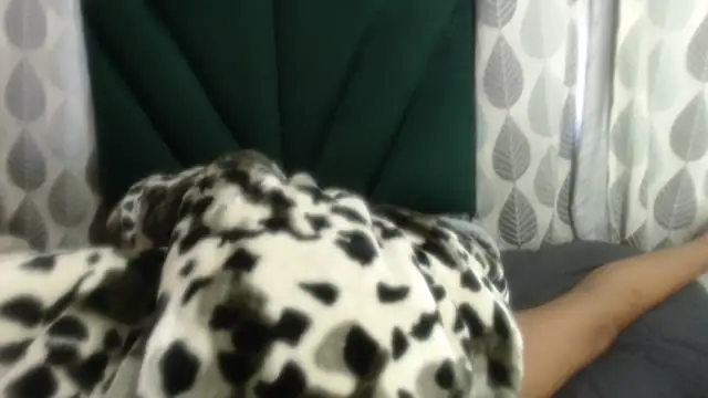 Snapshot of Nellybba chatting on March 27, 2026, 5:49 am Nellybba online show from March 27, 2026, 5:49 am