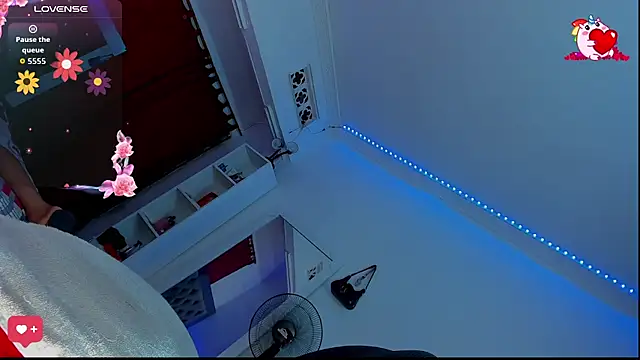 valeria 19x online show from July 5, 2026, 3:22 am