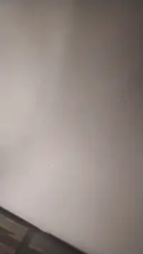 Snapshot of sterng6969 chatting on March 16, 2026, 5:26 am sterng6969 online show from March 16, 2026, 5:26 am