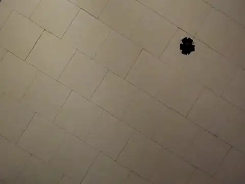 Snapshot of sterng6969 chatting on April 9, 2026, 8:09 am sterng6969 online show from April 9, 2026, 8:09 am