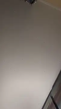 Snapshot of sterng6969 chatting on March 13, 2026, 5:56 am sterng6969 online show from March 13, 2026, 5:56 am