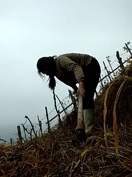 miumiu sexy2x online show from April 1, 2026, 2:02 am