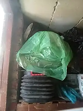 dicklife3485 online show from April 14, 2026, 9:03 am