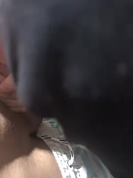 casalnovinho18z online show from January 19, 2026, 4:33 pm