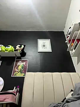 Snapshot of CarolinaRaven chatting on February 26, 2026, 4:45 am CarolinaRaven online show from February 26, 2026, 4:45 am