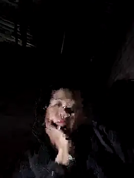 Snapshot of Jooj- chatting on February 3, 2026, 3:06 pm Jooj- online show from February 3, 2026, 3:06 pm