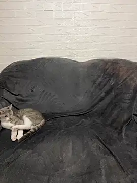 Snapshot of AlisRoxy chatting on February 28, 2026, 9:25 pm AlisRoxy online show from February 28, 2026, 9:25 pm