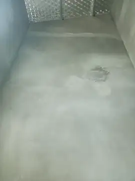 Snapshot of nana_nana99 chatting on February 16, 2026, 6:56 am nana nana99 online show from February 16, 2026, 6:56 am