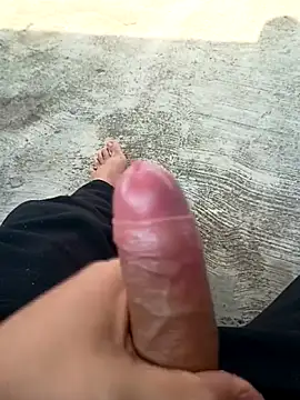 Damilalo online show from April 17, 2026, 2:09 pm