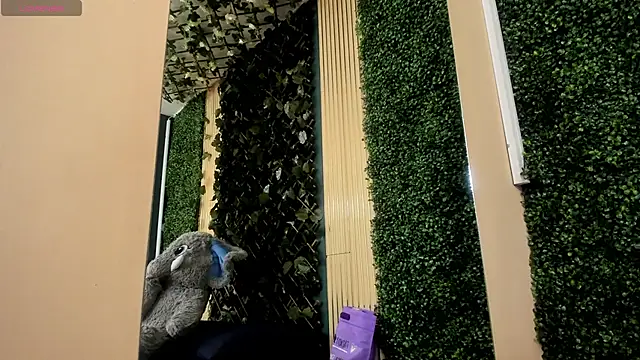 Snapshot of AmberAddamss chatting on February 22, 2026, 2:41 pm AmberAddamss online show from February 22, 2026, 2:41 pm