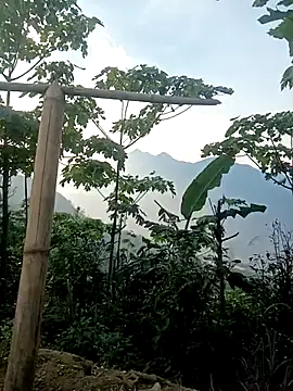 Snapshot of cutebobi chatting on March 30, 2026, 9:55 am cutebobi online show from March 30, 2026, 9:55 am