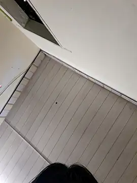 Pinks cool online show from April 7, 2026, 3:30 am