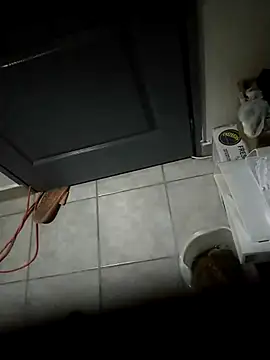 Snapshot of Punciprof chatting on April 9, 2026, 9:32 pm Punciprof online show from April 9, 2026, 9:32 pm