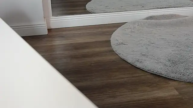 Snapshot of LesysFord chatting on February 16, 2026, 8:29 pm LesysFord online show from February 16, 2026, 8:29 pm