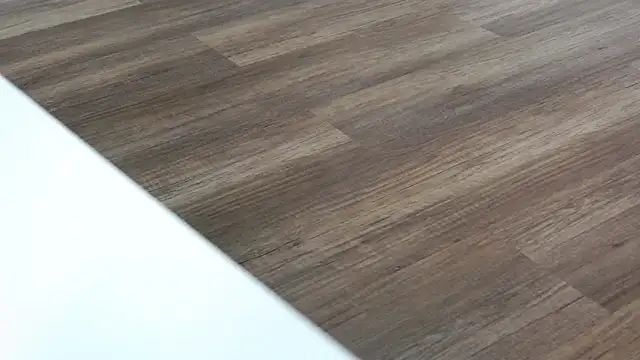 Snapshot of LesysFord chatting on February 22, 2026, 8:21 pm LesysFord online show from February 22, 2026, 8:21 pm