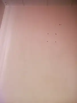  aish a online show from March 19, 2026, 8:09 pm