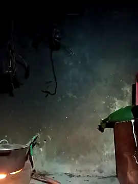 Snapshot of Hoa-tuylip chatting on March 4, 2026, 10:17 pm Hoa-tuylip online show from March 4, 2026, 10:17 pm