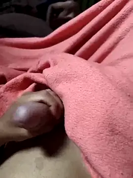 Snapshot of Gustavo52367 chatting on February 22, 2026, 12:29 pm Gustavo52367 online show from February 22, 2026, 12:29 pm