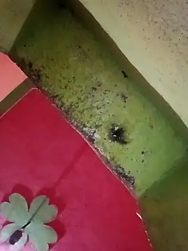 Riyakumari hot66 online show from April 5, 2026, 4:02 pm