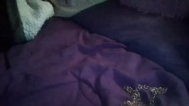 Snapshot of Paradice7 chatting on February 1, 2026, 6:33 am Paradice7 online show from February 1, 2026, 6:33 am