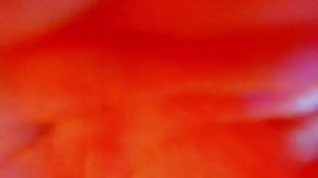 Katty Kiiss  online show from May 5, 2026, 4:04 am