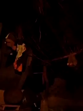 Dipti hote online show from April 12, 2026, 2:53 pm