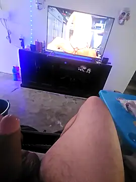 Elpnzaurio online show from February 17, 2026, 6:16 pm