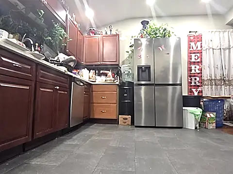 Snapshot of bischo666 chatting on February 24, 2026, 2:12 am bischo666 online show from February 24, 2026, 2:12 am