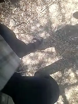 Cute Boy 4 online show from March 7, 2026, 7:37 am