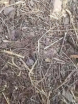 Cute Boy 4 online show from March 19, 2026, 7:41 am