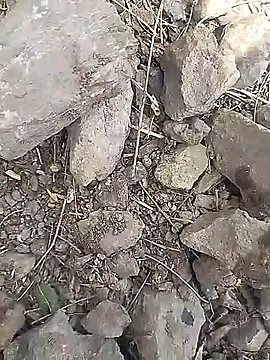 Cute Boy 4 online show from March 30, 2026, 6:48 am