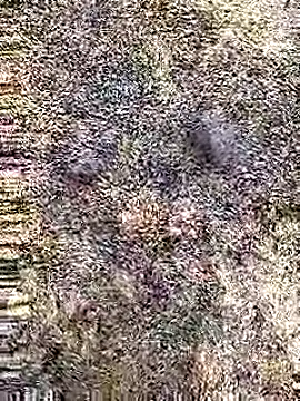 Snapshot of Cute_Boy_4 chatting on April 29, 2026, 7:23 am Cute Boy 4 online show from April 29, 2026, 7:23 am