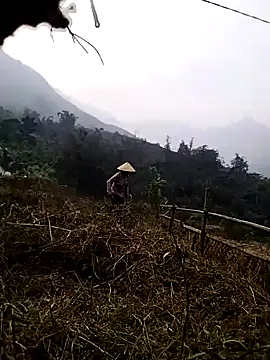 Tina-beo online show from March 27, 2026, 9:43 am