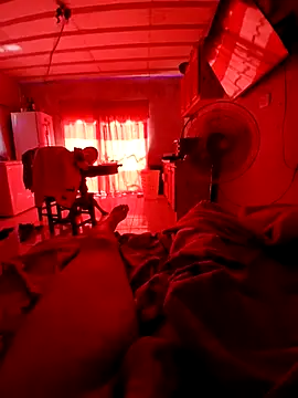 elvergon23139 online show from February 8, 2026, 2:15 pm