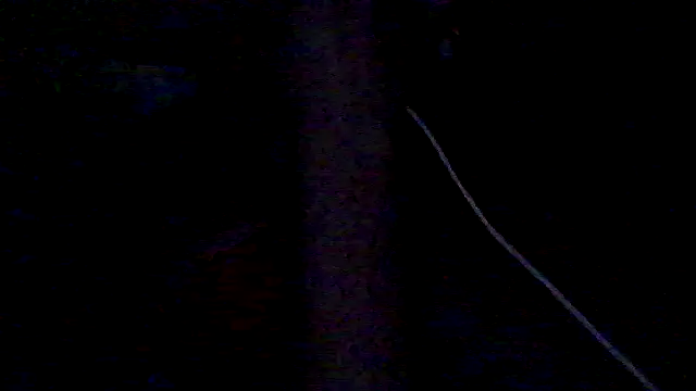 lorraine2036 online show from February 28, 2026, 11:32 am