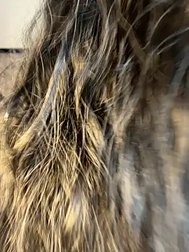 Denise wolfe21 online show from February 19, 2026, 7:44 pm