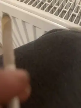 Diggaoder online show from April 23, 2026, 3:35 am