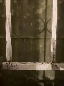 Diggaoder online show from April 21, 2026, 3:46 am